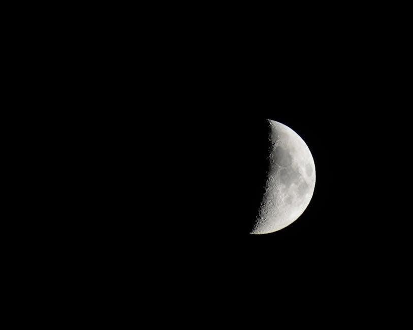 d610 nikon manual
