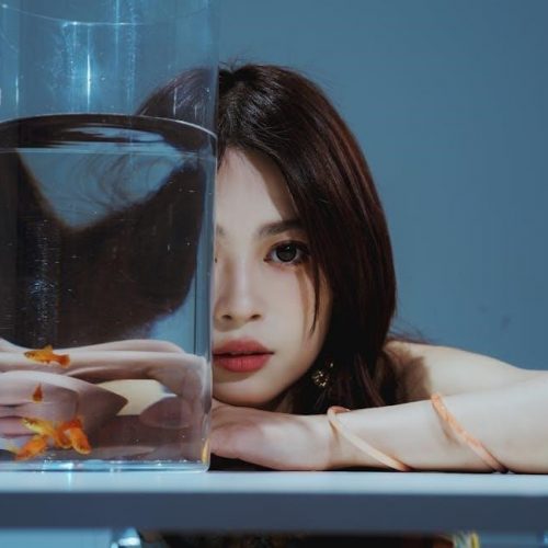 the magic fish pdf