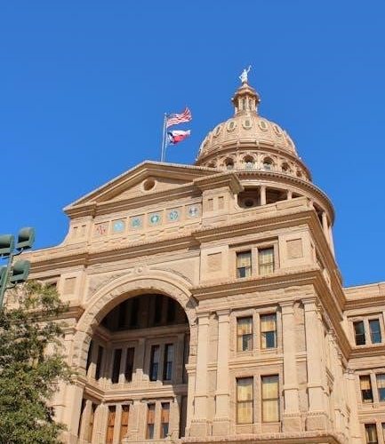texas politics: ideal and reality pdf