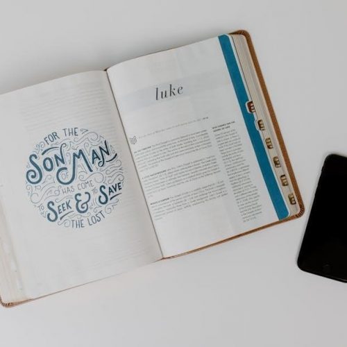 the bible recap reading plan pdf