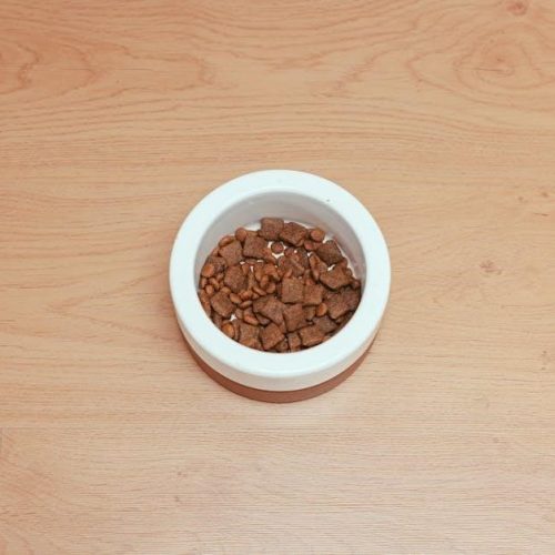 butchers dog food feeding guide