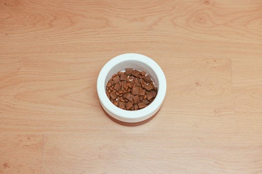 butchers dog food feeding guide
