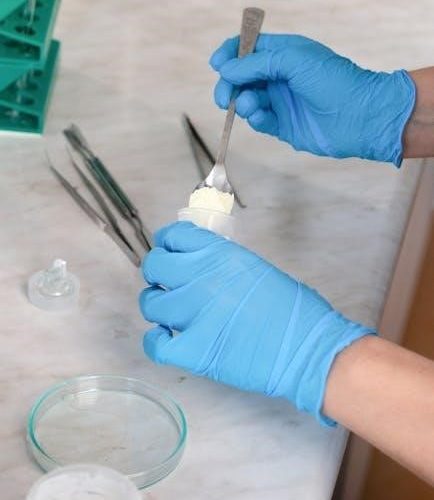 insulation resistance test procedure pdf free download
