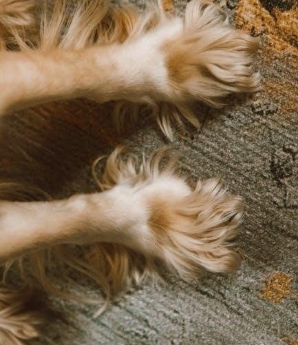 rug pad thickness guide