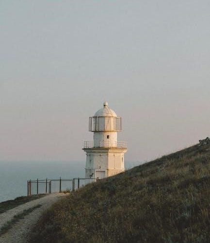 guide taille 48 homme