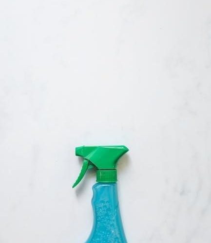 bissell spot clean instructions